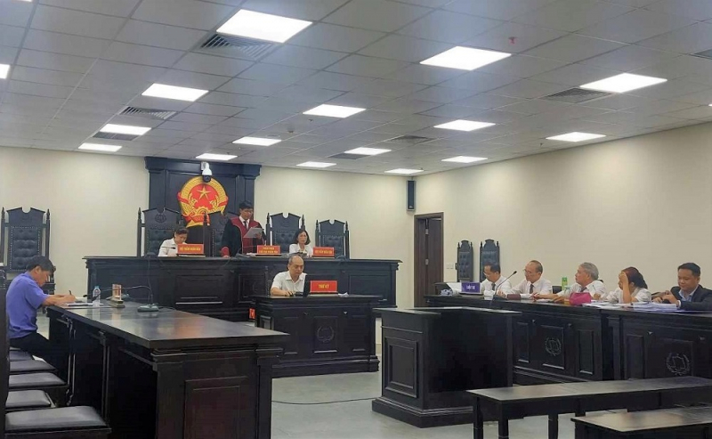 Nói xấu cựu Chủ nhiệm Đoàn luật sư Hà Nội, nữ luật sư lĩnh 12 tháng tù - Hình 1