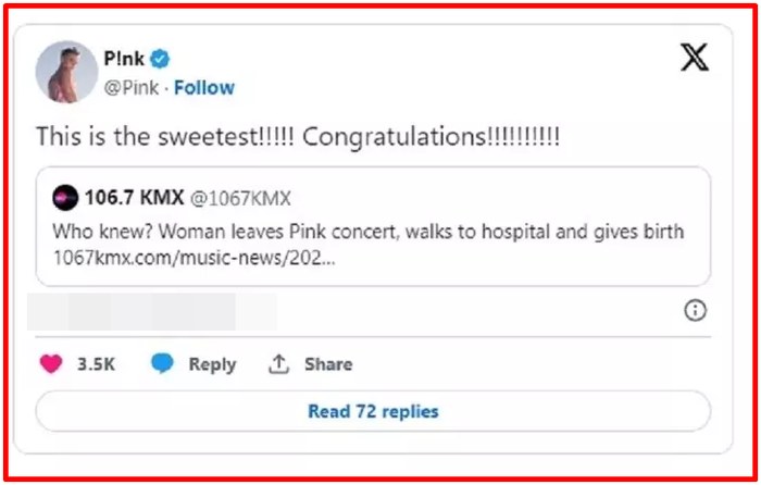 Concert của nữ ca sĩ P!nk trở thành tâm điểm bàn tán chỉ vì hành động này của fan cuồng - Hình 4