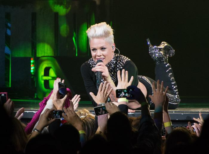 Concert của nữ ca sĩ P!nk trở thành tâm điểm bàn tán chỉ vì hành động này của fan cuồng - Hình 1