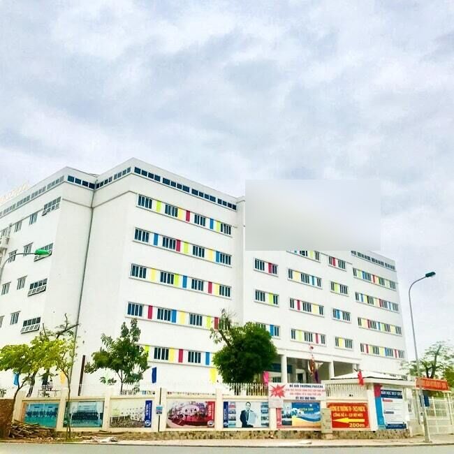 Bữa ăn 1 Trường tiểu học quốc tế ở Hà Nội có gián, học sinh hỏi thì cô giáo lấp liếm: Đây là con ong - Hình 3