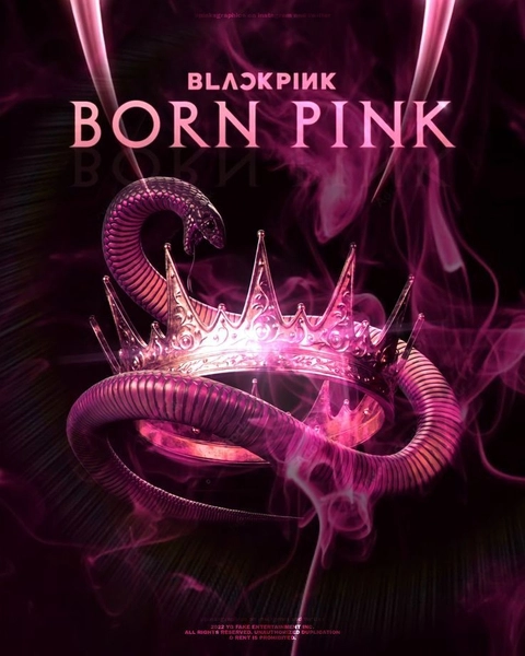 Xôn xao đoạn clip fan nữ bị h.ành h.ung ngay lúc BLACKPINK biểu diễn, lý do khiến netizen hoảng hốt! - Hình 4