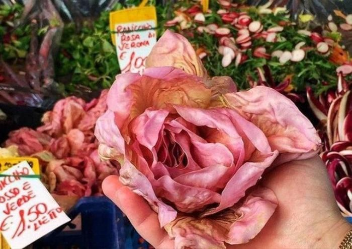 Loại rau gây bão dành cho người nhiều tiền giá hơn nửa triệu/kg, có gì hay mà dân tình đổ xô mua? - Hình 2