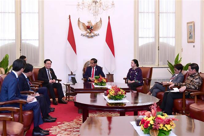 Chủ tịch Quốc hội Vương Đình Huệ hội kiến Tổng thống Indonesia Joko Widodo - Hình 2
