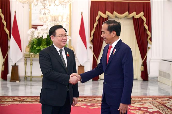 Chủ tịch Quốc hội Vương Đình Huệ hội kiến Tổng thống Indonesia Joko Widodo - Hình 1