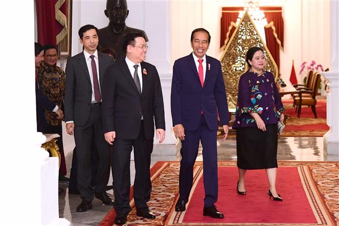 Chủ tịch Quốc hội Vương Đình Huệ hội kiến Tổng thống Indonesia Joko Widodo - Hình 3