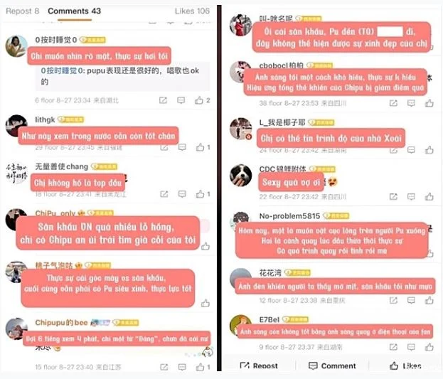 Chi Pu nổi khét tiếng Cbiz vẫn không quên quê hương, tích cực quảng bá nhạc Việt tại Trung Quốc - Hình 8