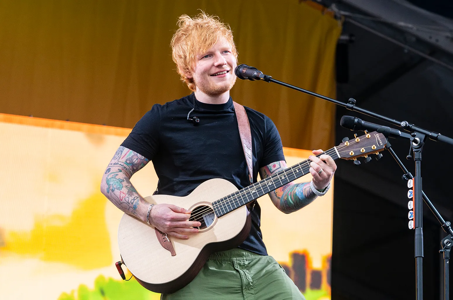Ed Sheeran gây sốc để fan đứng đợi dưới trời nóng 38 độ nửa ngày rồi đăng đàn thông báo hủy concert - Hình 2