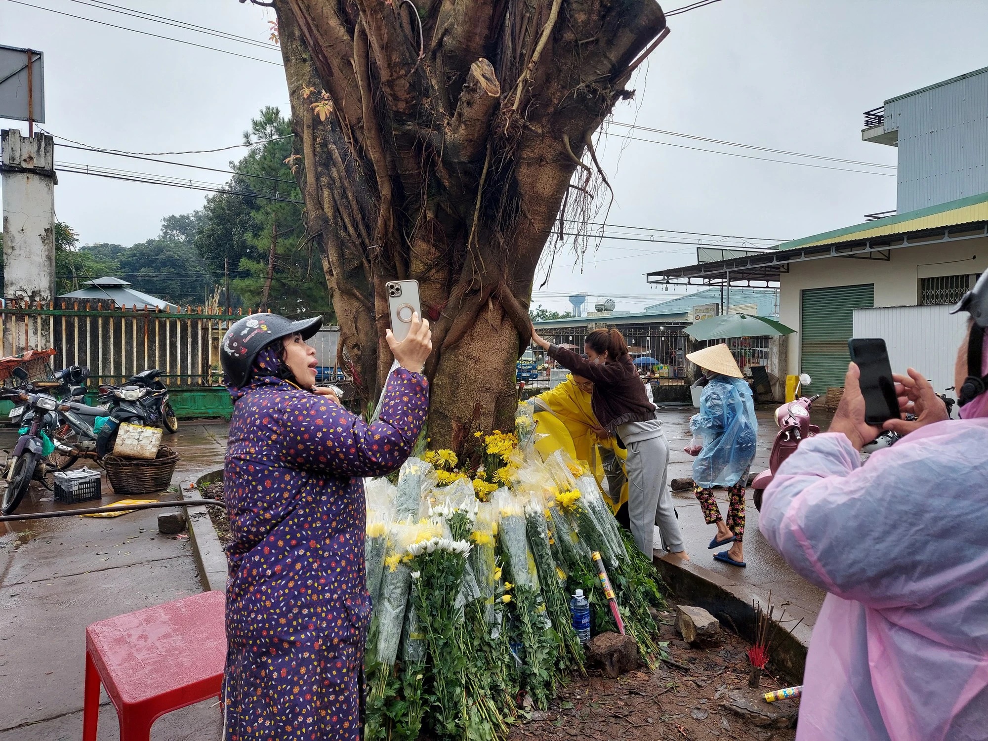 Xuất hiện mặt người...trên thân cây khiến dân tình đổ xô đến cầu nguyện, chính quyền khuyến cáo - Hình 5