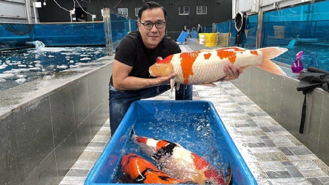 Rộ tin Vua cá Koi bị Hà Thanh Xuân chia tay vì nợ nần chồng chất, từ chối nói về vợ cũ với lý do này - Hình 5