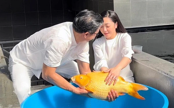 Vua cá Koi nhắc nhở Hà Thanh Xuân 1 điều hậu chia tay, vợ trẻ bị đào lại câu hát tiên tri lúc cưới - Hình 7