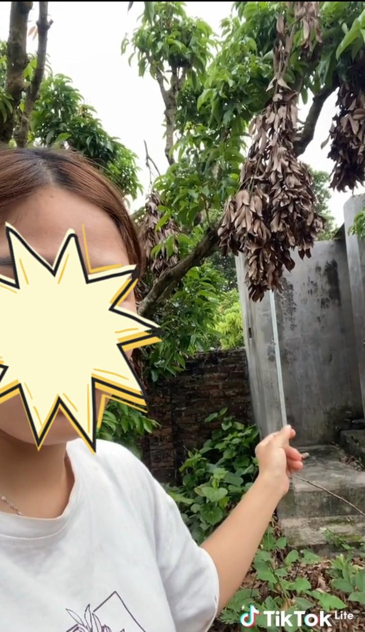 Hậu nghỉ lễ 2/9, cô gái bức xúc làm ngay clip vì phát hiện một thứ trong nhà đã không cánh mà bay - Hình 2