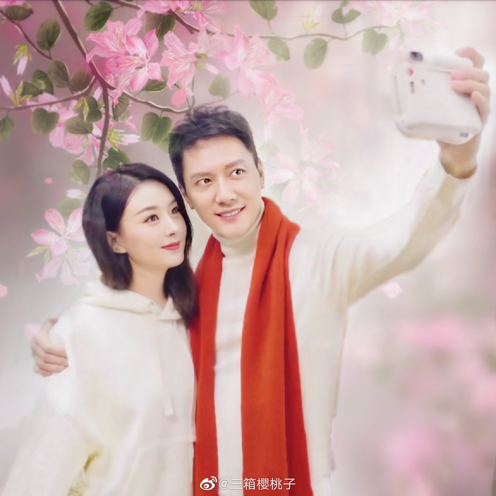 Triệu Lệ Dĩnh và Phùng Thiệu Phong bị phanh phui mối quan hệ hôn nhân, con trai được bà nội chăm - Hình 2