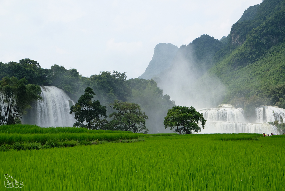 8 cung đường trekking tuyệt đẹp ở Việt Nam theo đề xuất của Lonely Planet - Hình 6