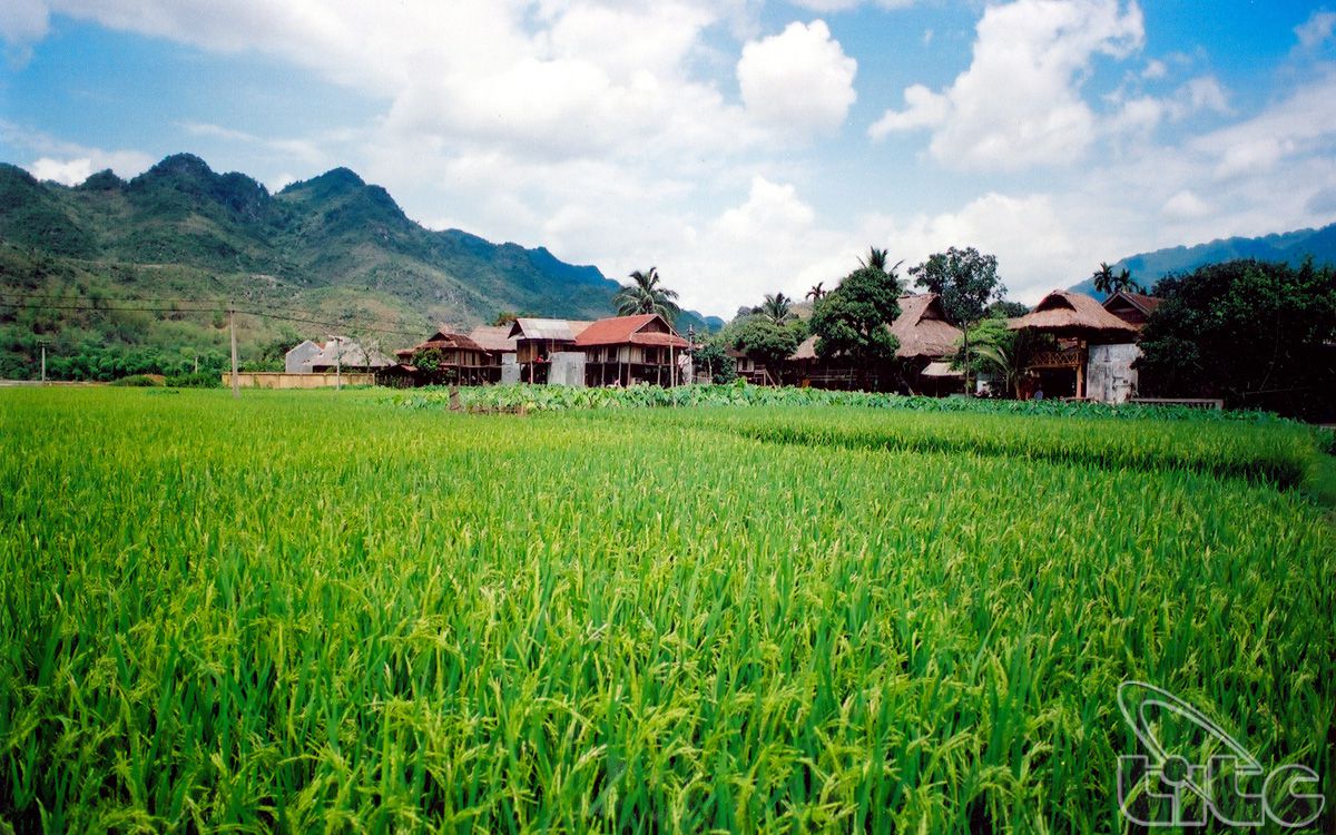 8 cung đường trekking tuyệt đẹp ở Việt Nam theo đề xuất của Lonely Planet - Hình 5