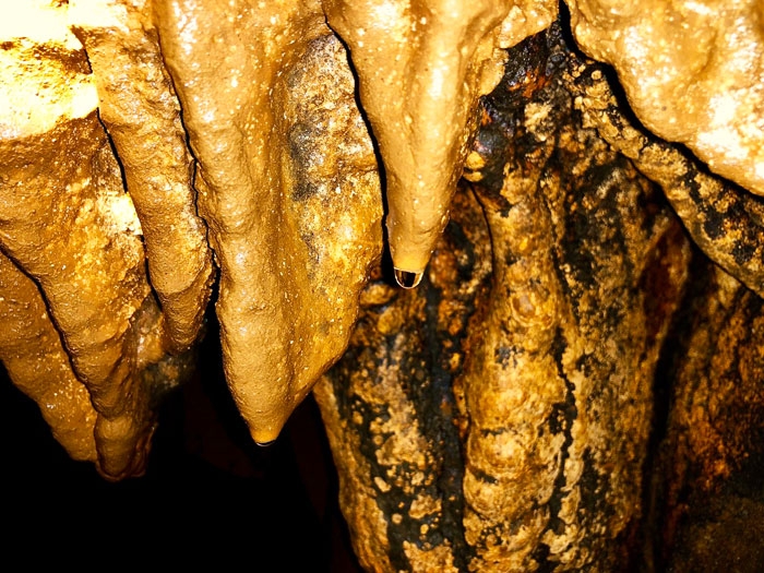Ấn tượng hang Mỏ Rẹ - Hình 8
