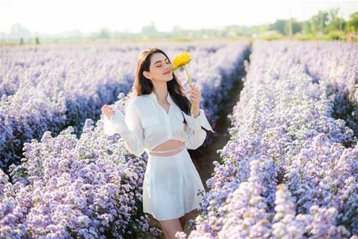 Tử vi 12 cung hoàng đạo tháng 1/2024: Vận may nào gõ cửa Bạch Dương, Sư Tử - Hình 1