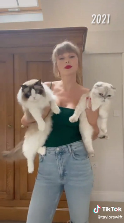 Thú cưng của Taylor Swift giàu hơn bạn trai nữ ca sĩ, dân tình liền trêu đùa - Hình 3