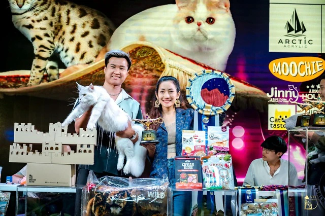 Đầu tư 600 triệu cho Mèo thi Hoa hậu, ngỡ là miếng mồi ngon nhưng lại dễ vỡ mộng - Hình 4