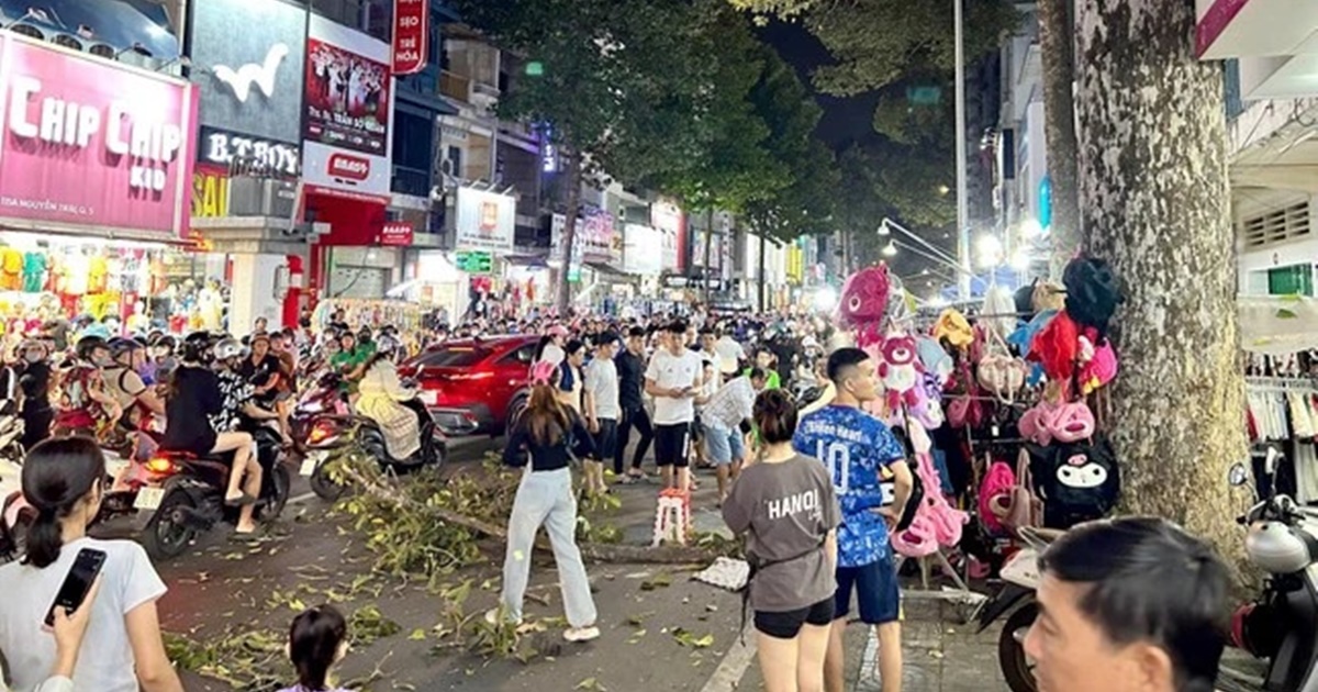Người đàn ông ngồi vỉa hè bán hàng bị nhánh cây rơi trúng đầu qua đời thương tâm - Hình 6