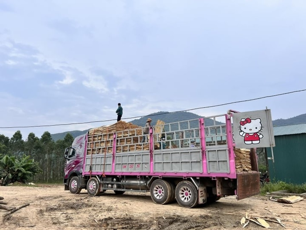 Bóng hồng container lên tiếng khi xe hello kitty gây tai nạn, hé lộ nguyên nhân - Hình 8