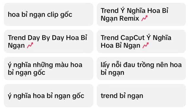 Trend ý nghĩa những màu hoa bỉ ngạn, điều gì khiến giới trẻ yêu thích đến vậy - Hình 1
