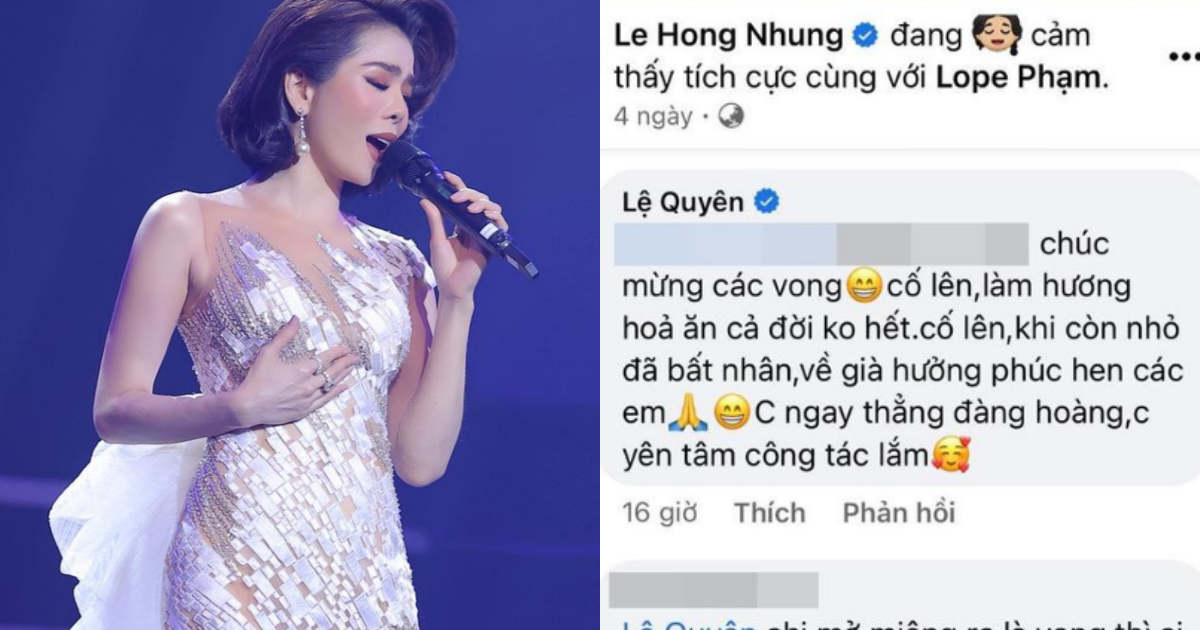 Lệ Quyên đi hát hậu náo loạn trang cá nhân Hồng Nhung, khán giả phản ứng ra sao? - Hình 7