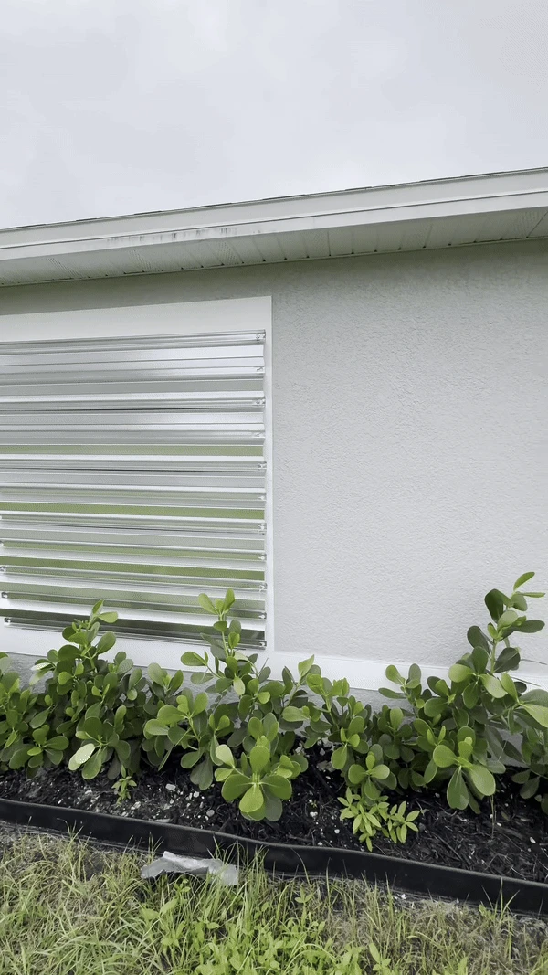 8,4 triệu người nín thở xem chàng trai gia cố nhà cửa tránh siêu bão Milton và có chung 1 thắc mắc - Hình 2