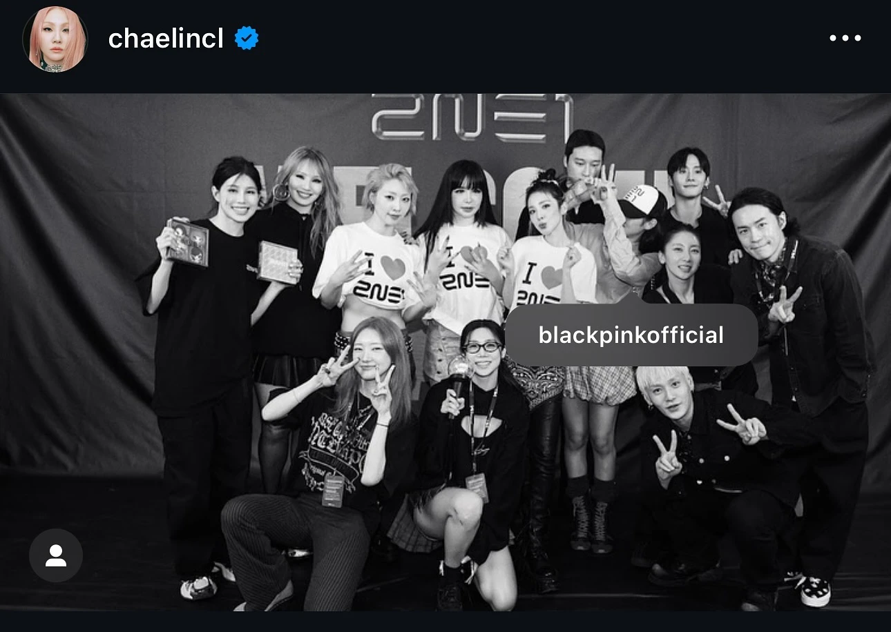 Jennie bị 2NE1 sân si, âm thầm cổ vũ concert, nhận lại thái độ bất ngờ? - Hình 3