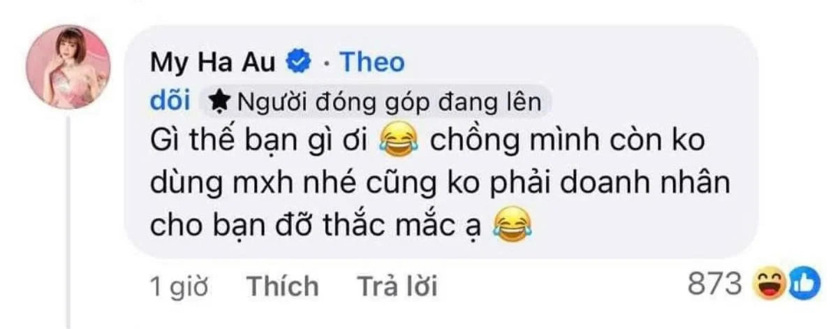Âu Hà My: Nữ GV bị nghi cưới chồng cũ Diệp Lâm Anh, từng tố chồng ầm ĩ trên MXH - Hình 4