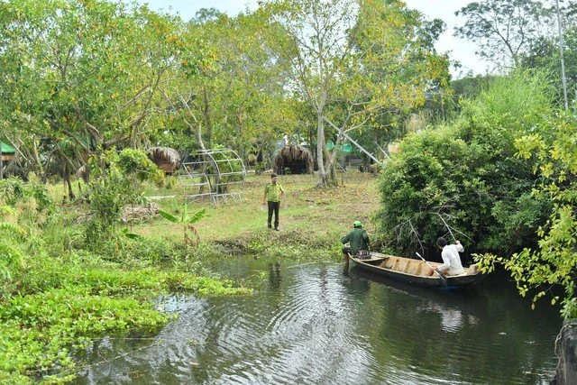Cá sấu 1,2 mét bơi trong bể cá Koi: vô chủ, nguyên nhân xuất hiện gây bất ngờ? - Hình 6