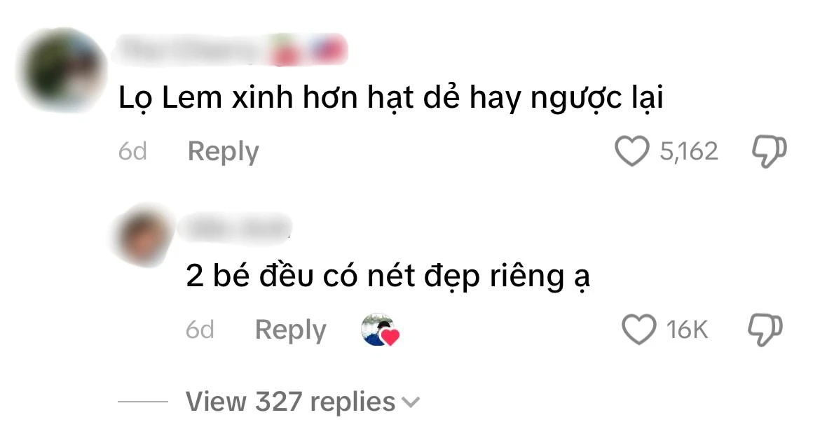 Lọ Lem đối đầu Hạt Dẻ về nhan sắc, MC Quyền Linh đáp trả tinh tế - Hình 2