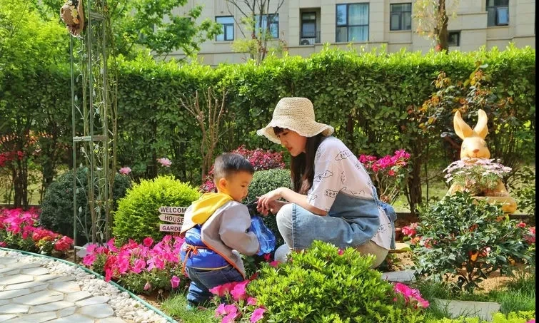 Cặp đôi dành 1 một năm để biến khoảng sân 120m2 thành một khu vườn xinh đẹp và lãng mạn - Hình 11