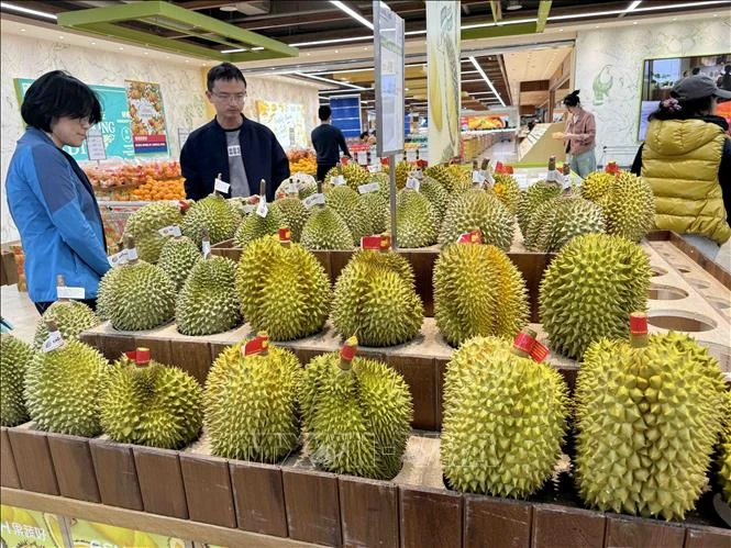 Khả năng cơn sốt sầu riêng tại Trung Quốc thoái trào - Hình 1