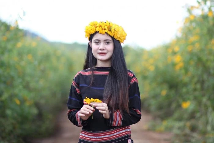Ngắm sắc vàng rực rỡ của dã quỳ Chư Đang Ya - Hình 4