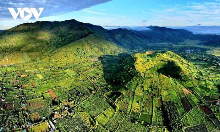 Ngắm sắc vàng rực rỡ của dã quỳ Chư Đang Ya - Hình 1