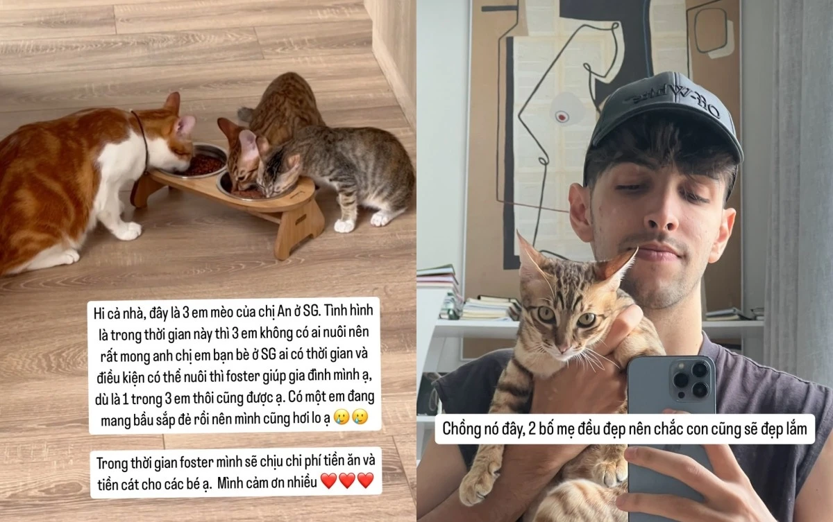 Em trai An Tây từng tố giác chị gái, CĐM phớt lờ, giờ ngỡ ngàng, bật ngửa - Hình 6
