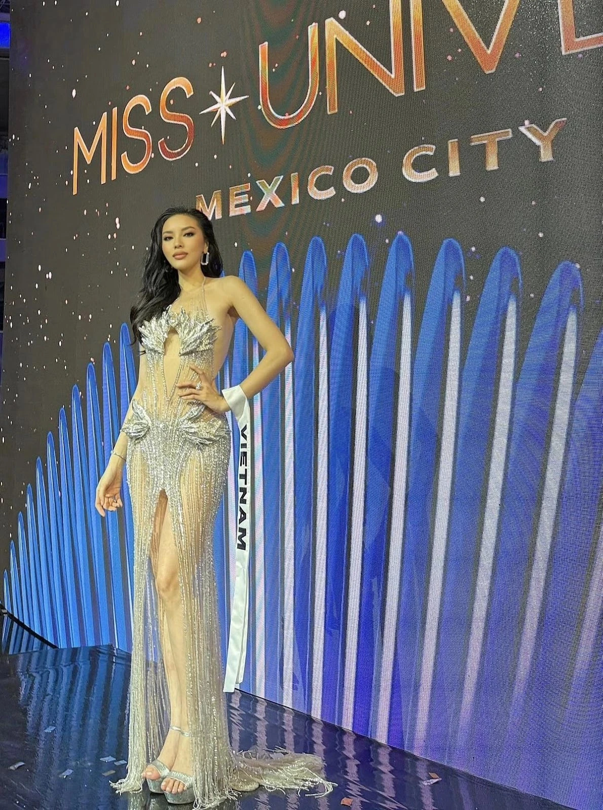 Miss Universe 2024: Kỳ Duyên công khai danh tính thủ phạm lấy National Costume - Hình 4