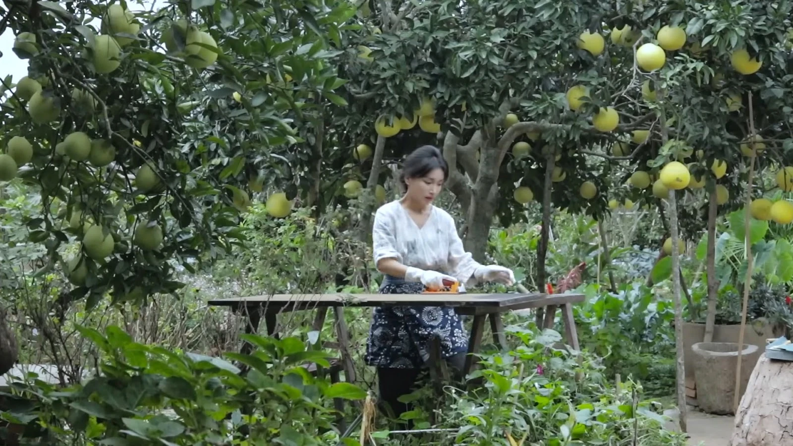 Lý Tử Thất hốt bạc hậu ở ẩn 3 năm, thu nhập khủng, ngồi không vẫn có tiền tỷ - Hình 2