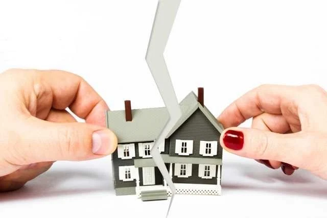 Trớ trêu bố mẹ kiện con gái ruột vì tham lam, cuỗm tài sản không chia anh trai - Hình 5
