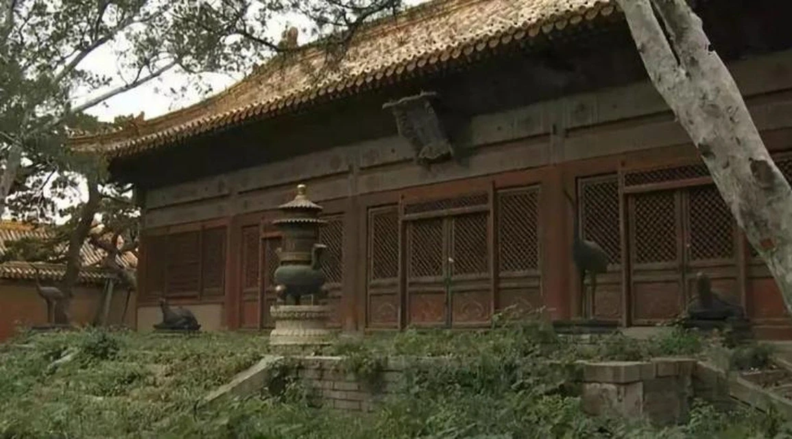 Bí ẩn nơi lãnh cung: Phi tần phát điên hoặc chết, vẫn có hoàng tử ra đời vì sao? - Hình 3