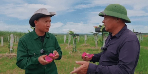 Quang Linh bị bố Qúy chọc tức, xông vào vườn thanh long, cắt đường nhân giống? - Hình 2