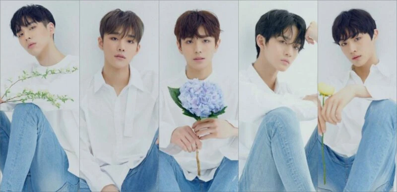 Bae Jin Young cựu thành viên Wanna One, Rosé ghen tỵ khi nghe giọng thật? - Hình 10