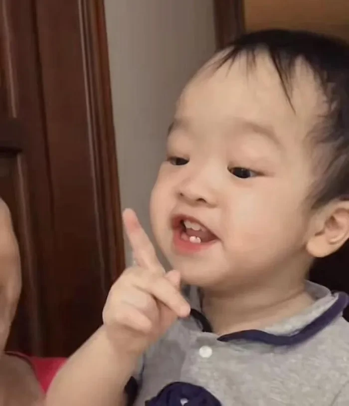 Quang Linh - Lôi Con bắt trend em bé nói nín chấn động cõi mạng, vượt bản gốc - Hình 6