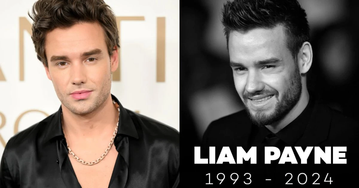 Vụ thành viên One Direction ra đi: 3 nghi phạm liên quan lộ diện - Hình 10