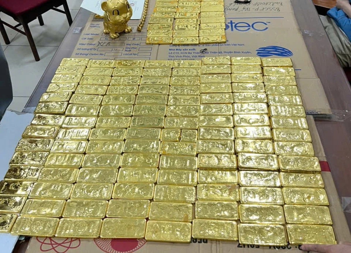 Vụ Mr Pips bị bắt: Sốc với thành tích học tập của kẻ cầm đầu, top 3 thế giới - Hình 3