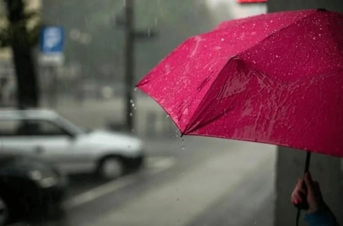 Chăm sóc sức khỏe đúng cách trong thời tiết mưa phùn, nồm ẩm - Hình 1
