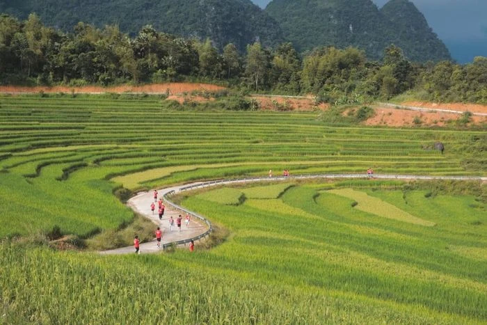 Chiếc chìa khóa vàng cho du lịch nông thôn tại Việt Nam - Hình 1