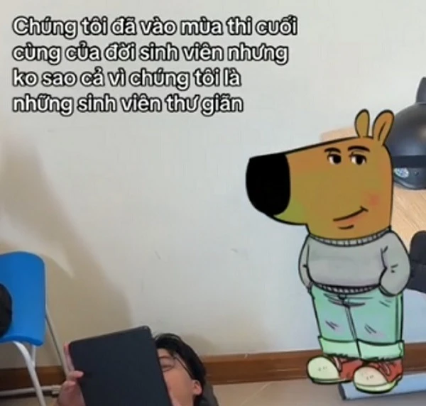 Đu trend anh chàng thư giãn - chill guy, 1 thanh niên suýt vướng vòng lao lý - Hình 1