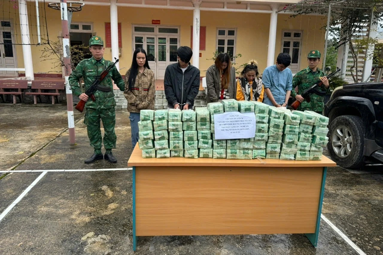 Ngành hải quan thu giữ 2,08 tấn ma túy trong 11 tháng - Hình 1