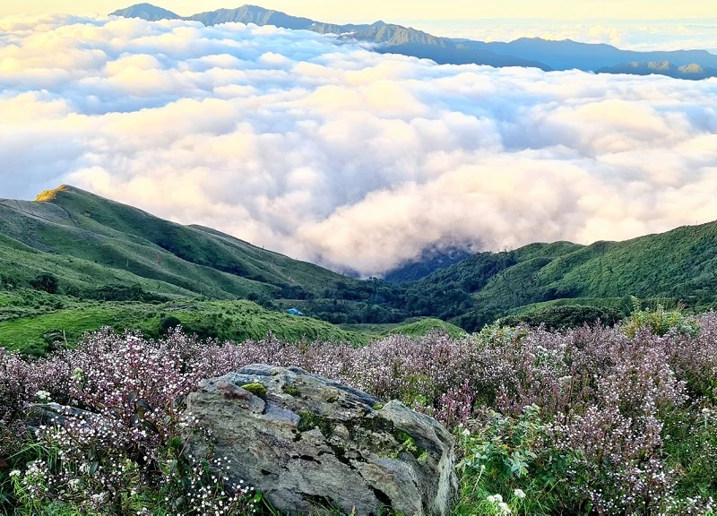 Việt Nam có nóc nhà trên độ cao 2860m, đứng trên biển mây thả cần câu trọn núi non tuyệt mỹ - Hình 4